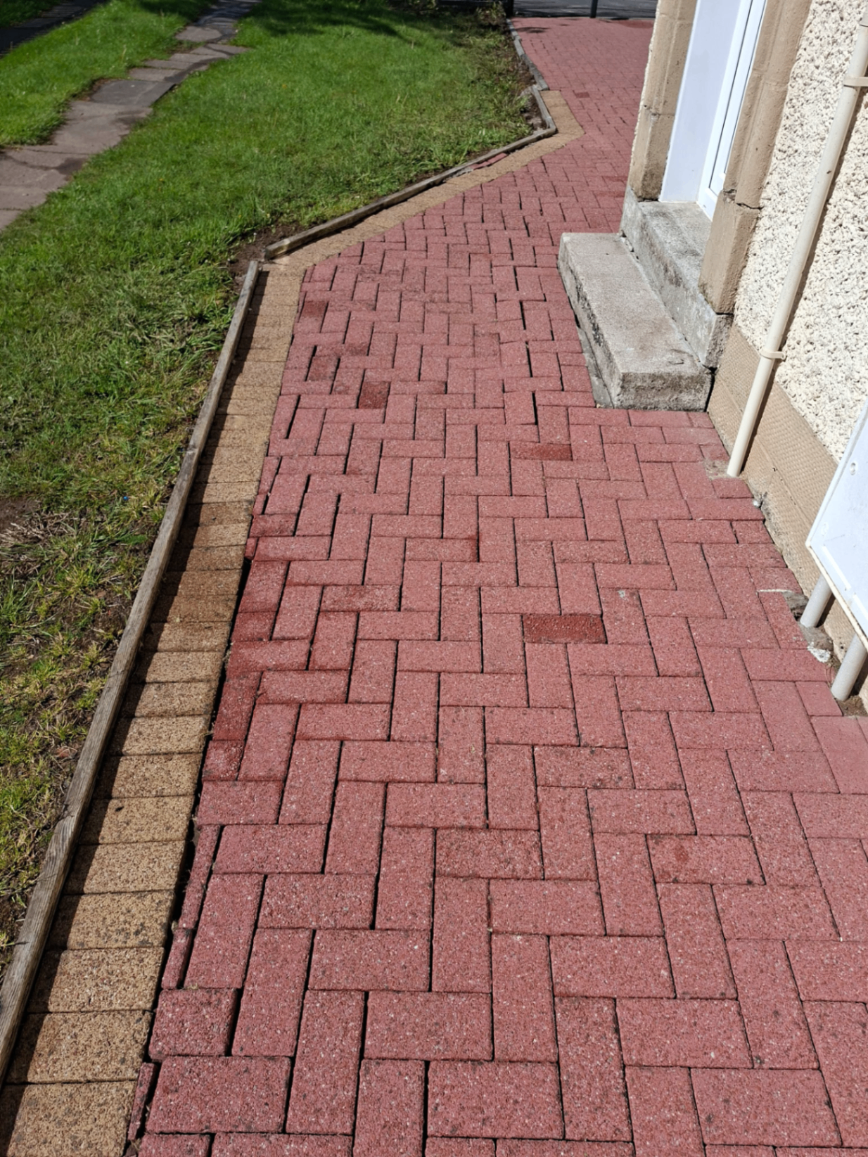 Moss & Algae Treatment